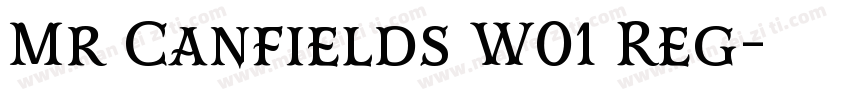 Mr Canfields W01 Reg字体转换